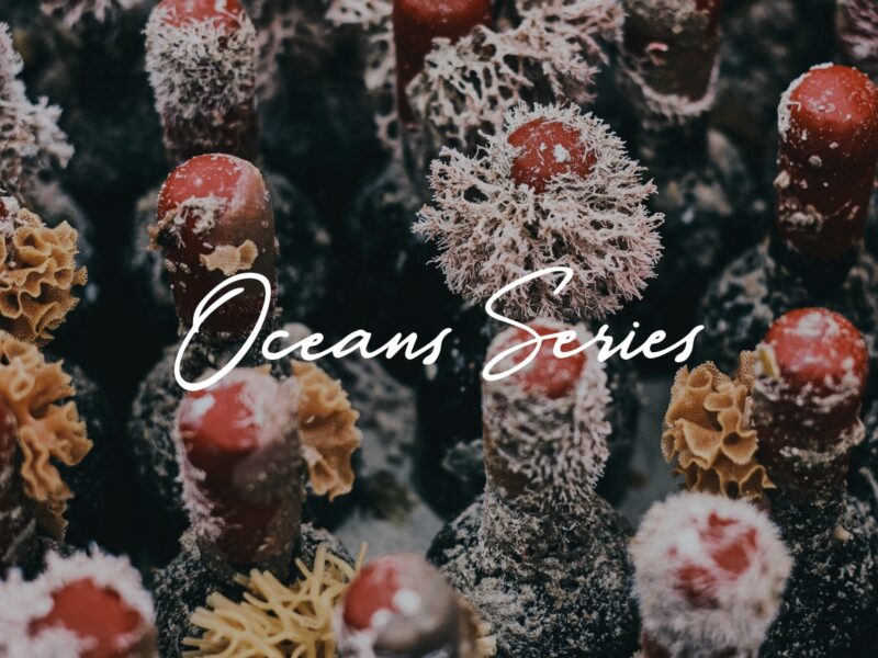 Oceans Series